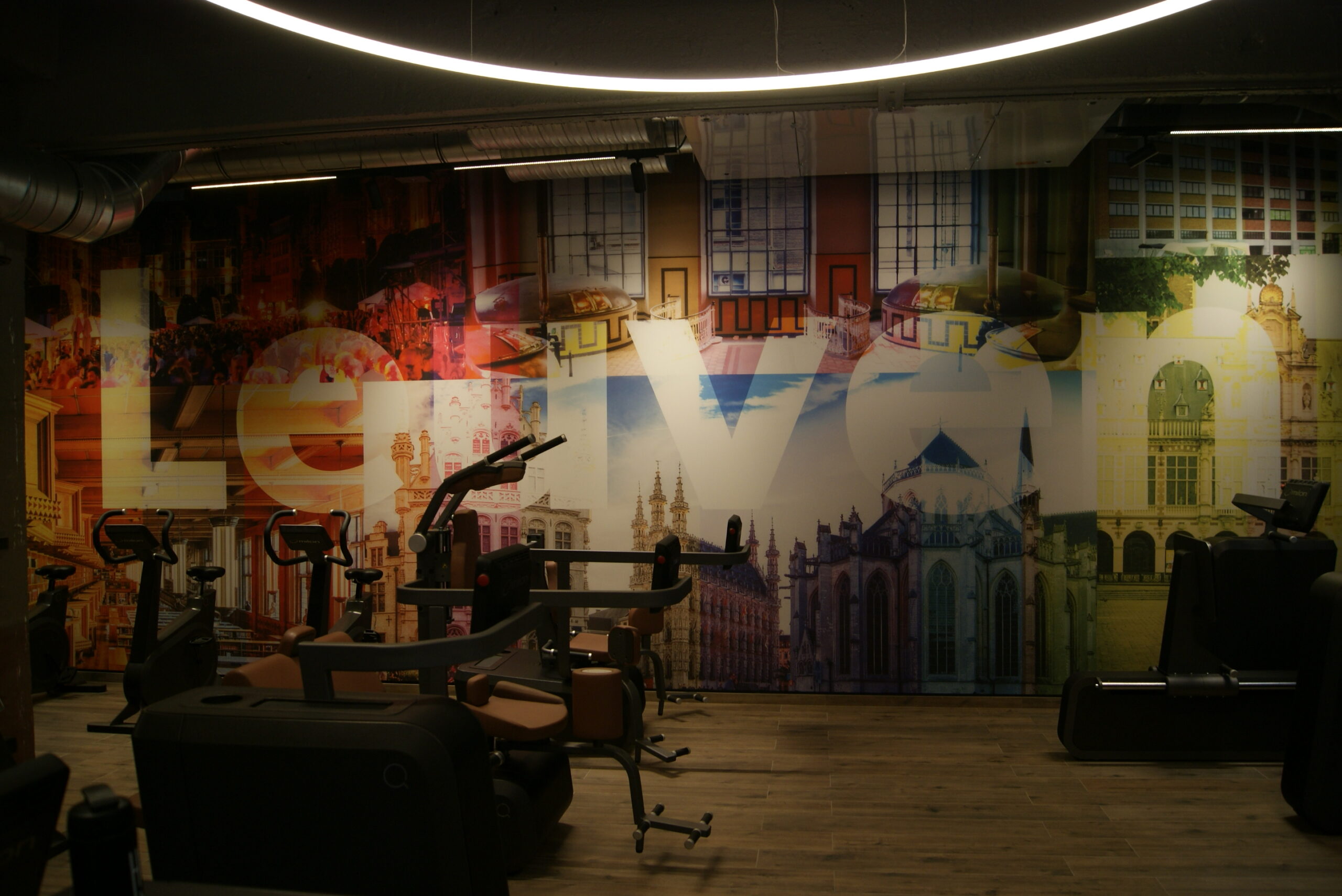Home – HiQ Gyms